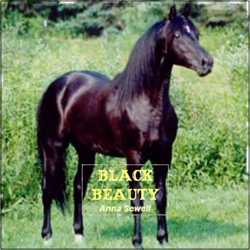 Product picture Black Beauty: The Autobiography of a Horse by Anna Sewell
